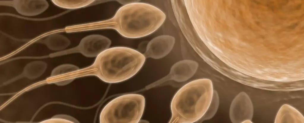 The Breakthrough That Could Transform Male Contraception Forever