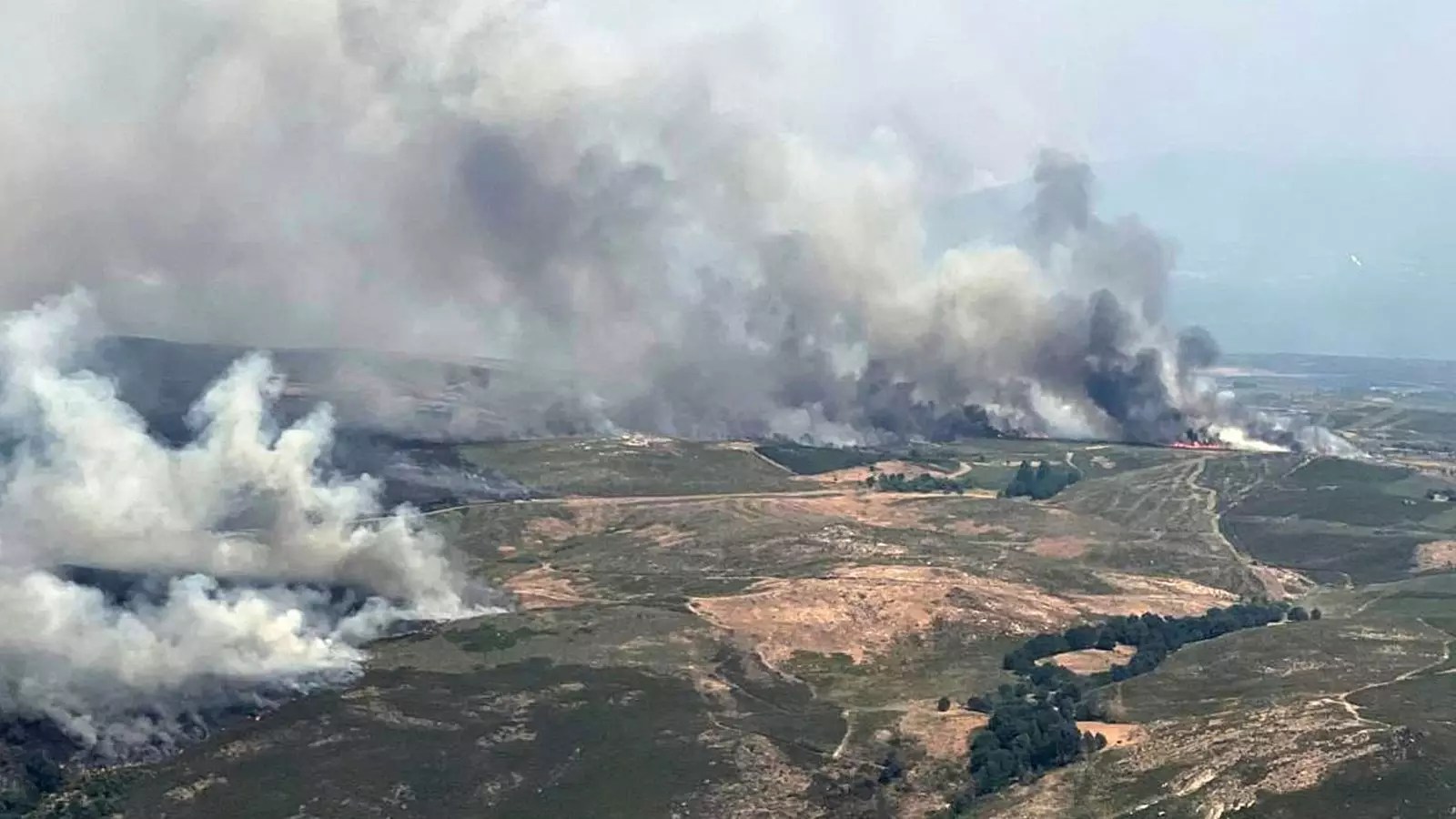 The Hidden Cost of Wildfires: A Wake-Up Call for Climate Action