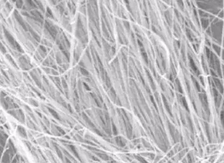 Microfiber Fiber
