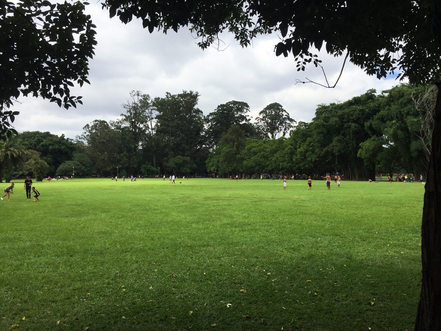 Gramado para atividades diversas