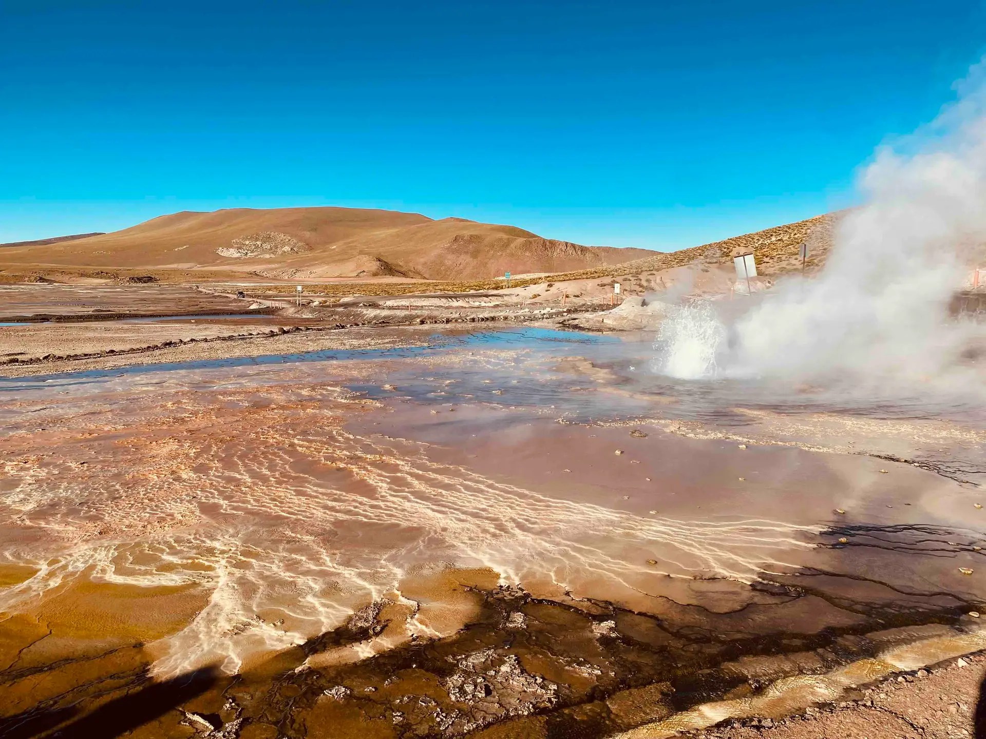 geysers tatio