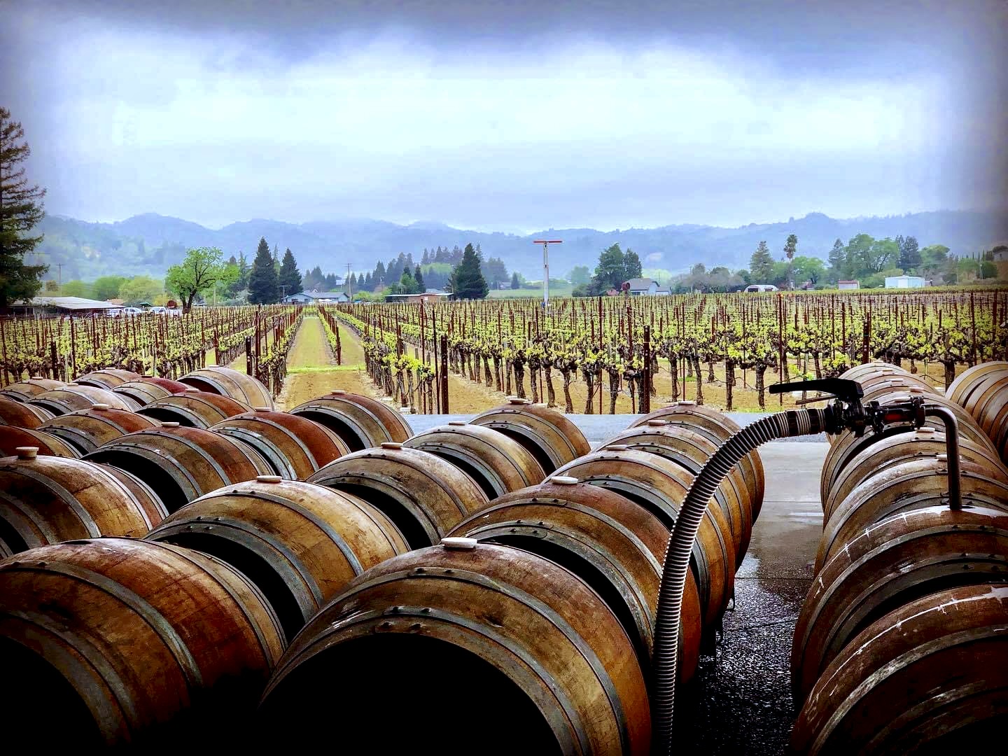 hospitality service standards winery barrels California