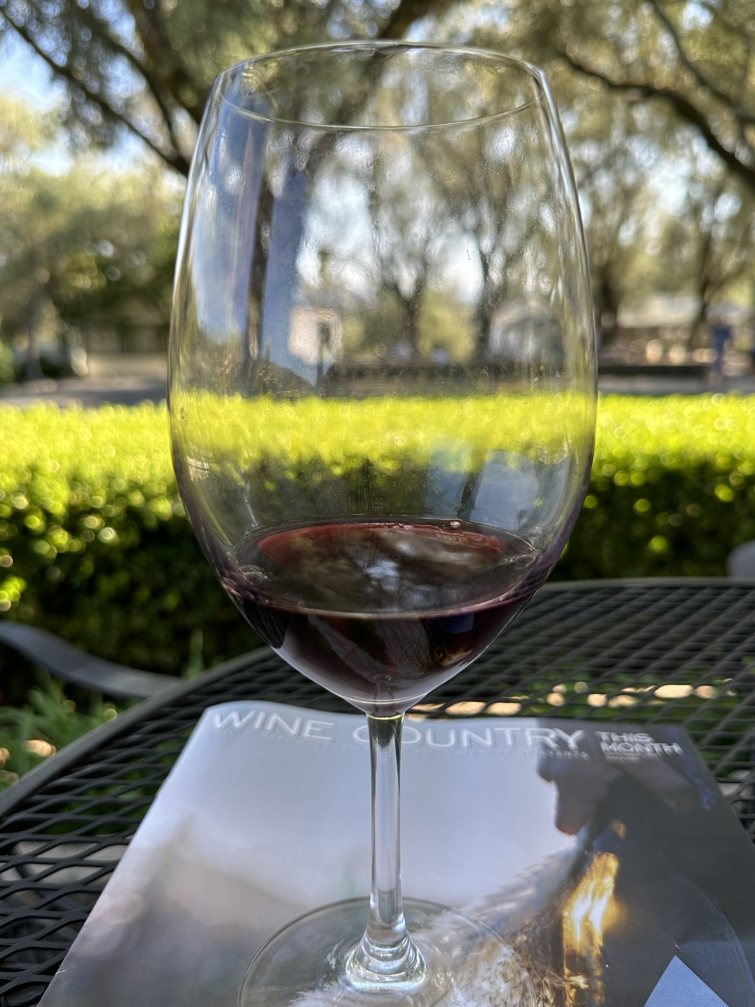 A glass of red wine on a patio table at a winery, late afternoon light coming through oak trees behind it.