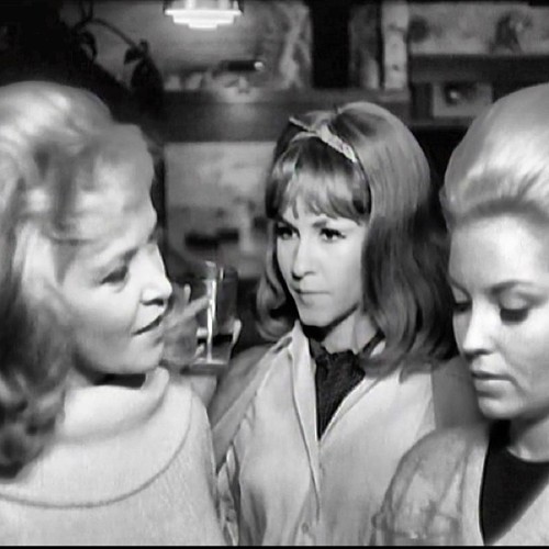 1966