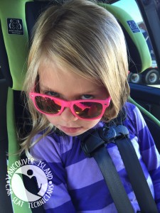 graco tranzitions harness height