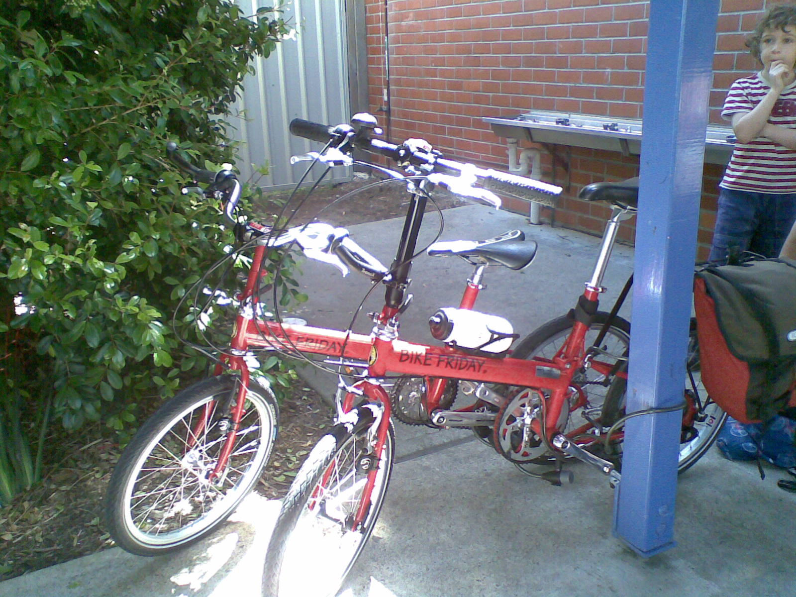 Olive Trees Markets Hikes How The Palestinian West Bank Welcomes Tourists At Christmas News The Jakarta Post