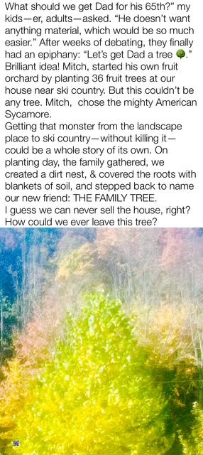 A tranquil outdoor scene featuring vibrant autumn foliage, including a tall tree with yellow and green leaves, suggesting a family gathering and connection to nature.
