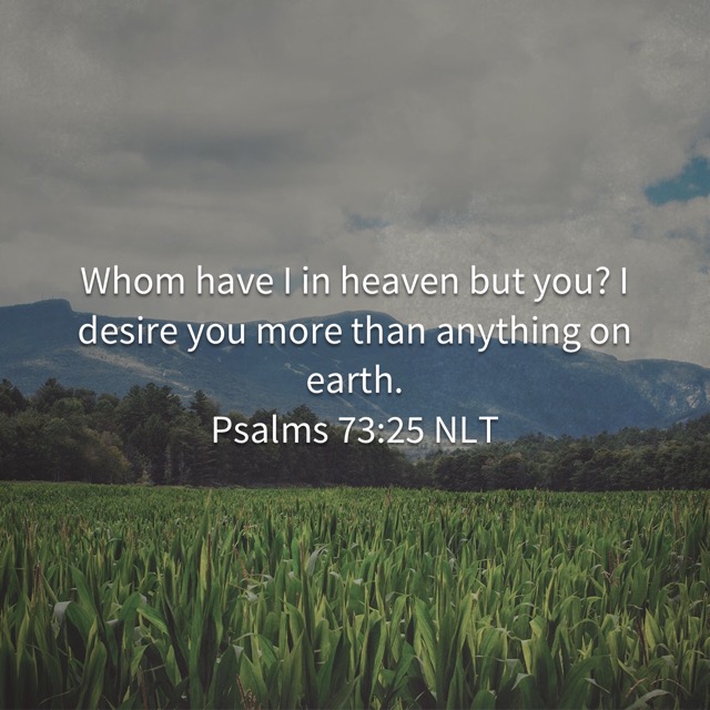 8EA6FF63-29CD-41B4-90C2-908F4BEAC4D0