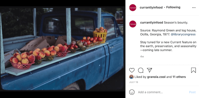 currant-ig-caption
