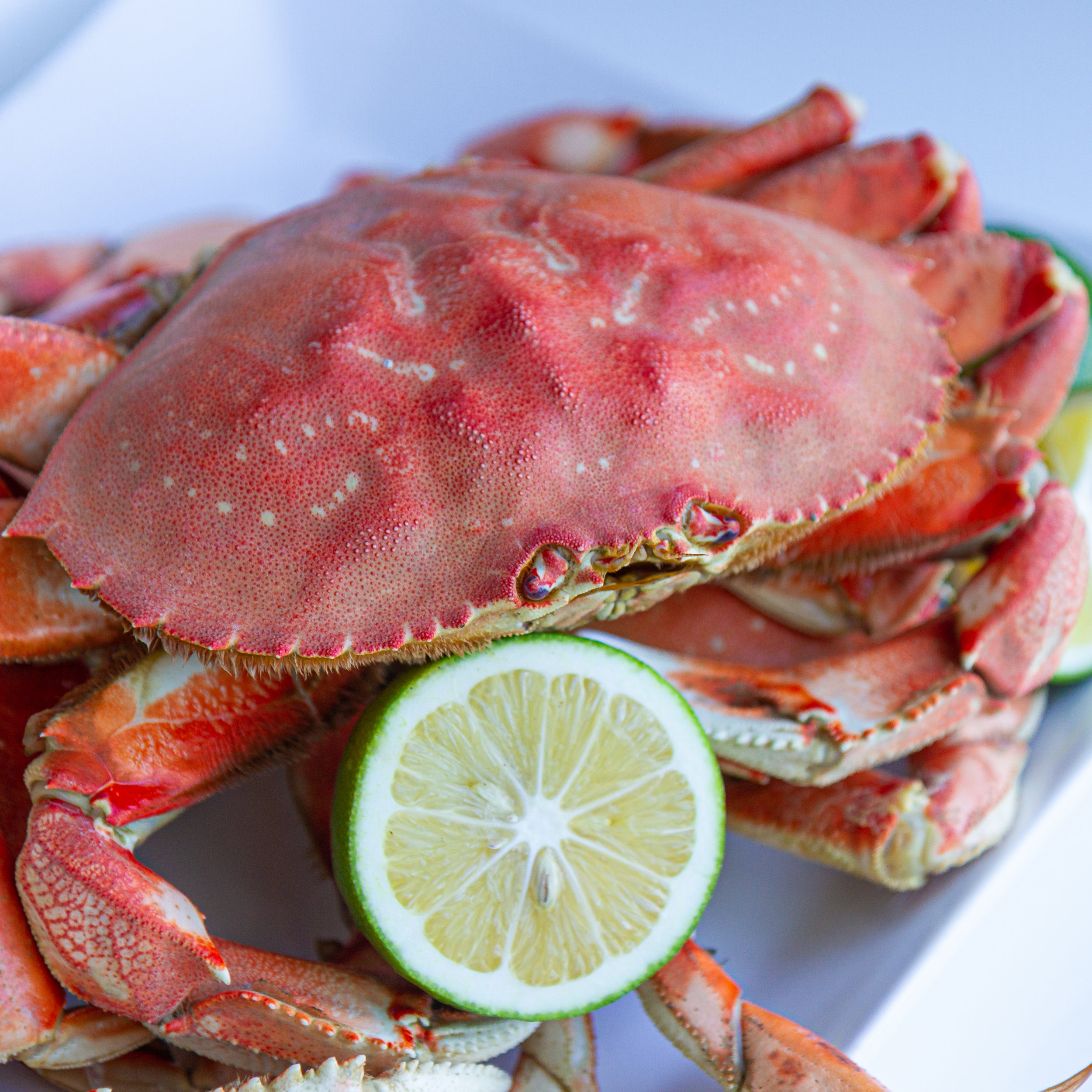 He’s looking understandably sad