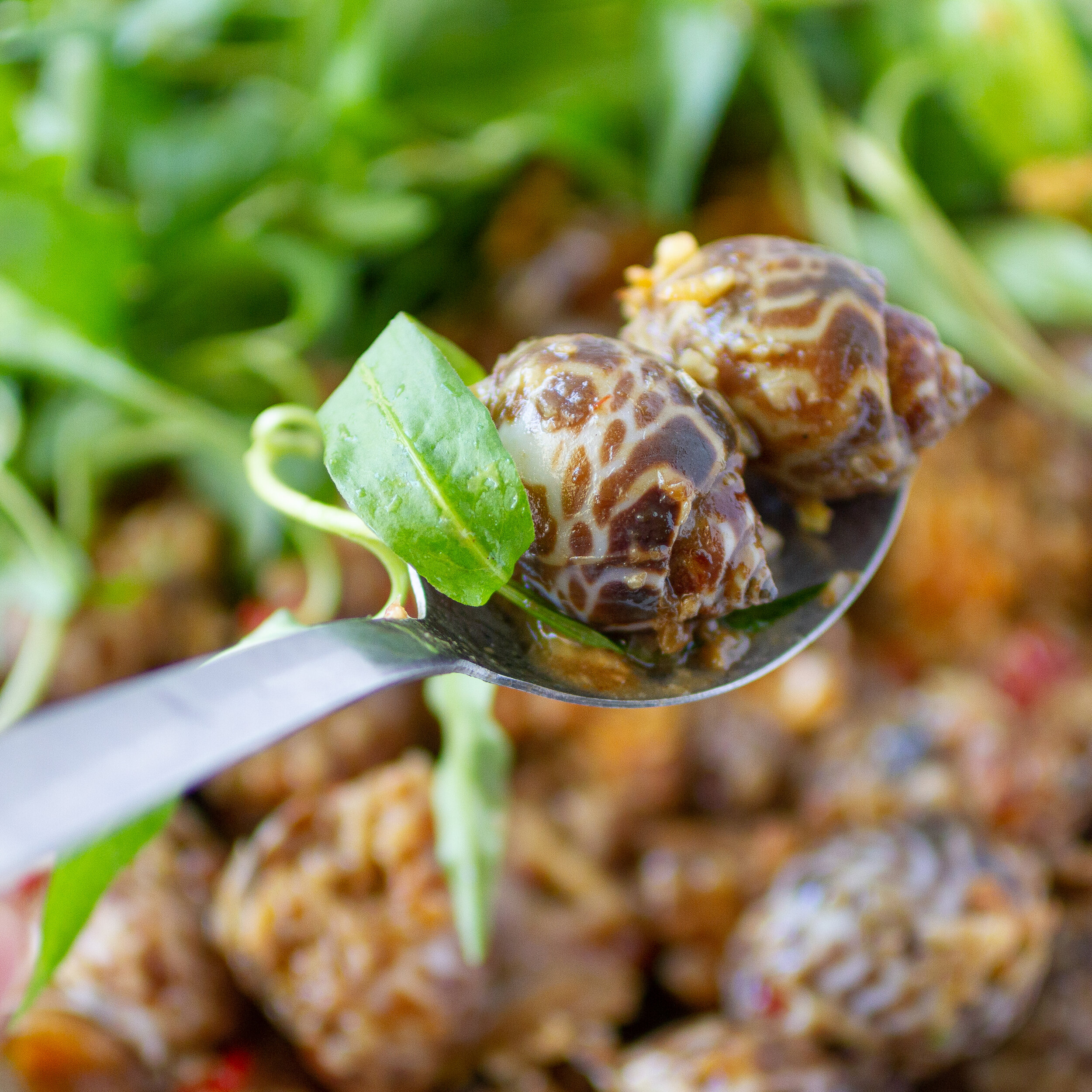 Periwinkle Escargot with Sweet & Sour Tamarind Sauce