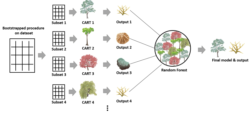 Github Caizhuo Species Distribution Random Forest Python And R - Mountain Pictures - Creative High Resolution Collection