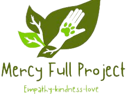 mercyfullprojects