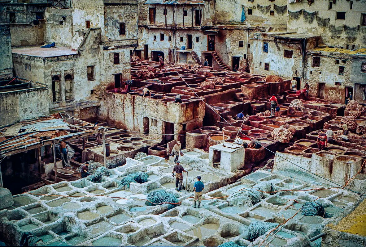 Fes 008_