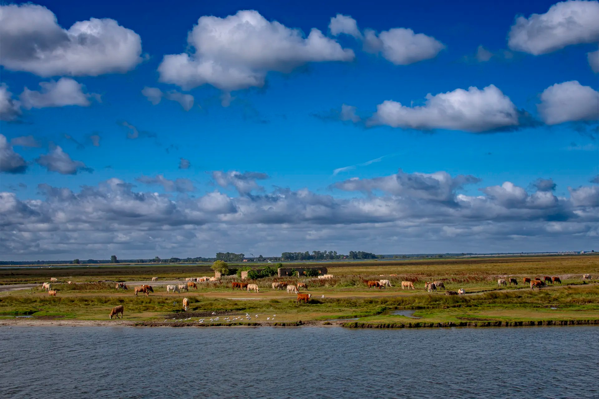 _DSC0656