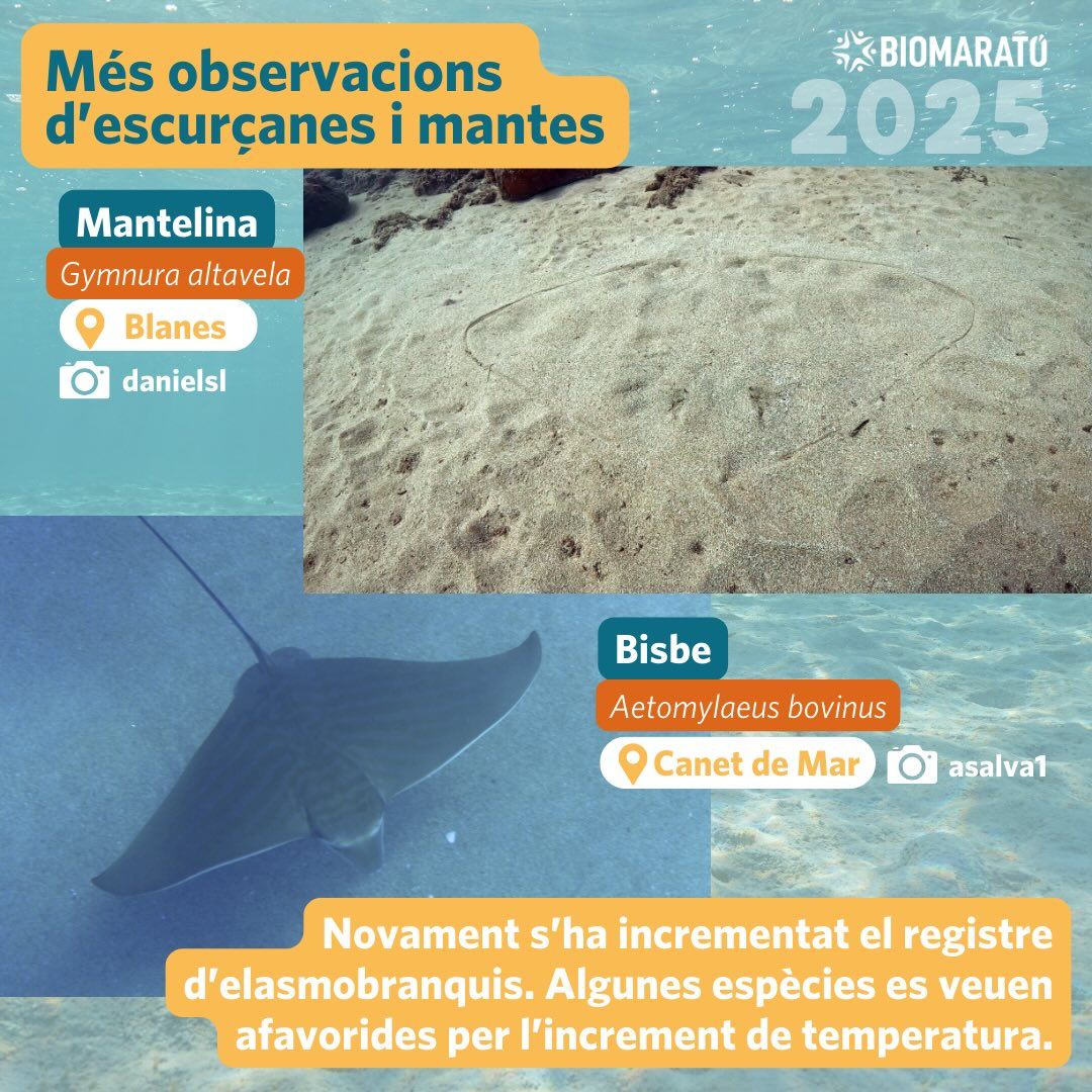 Biomarato10