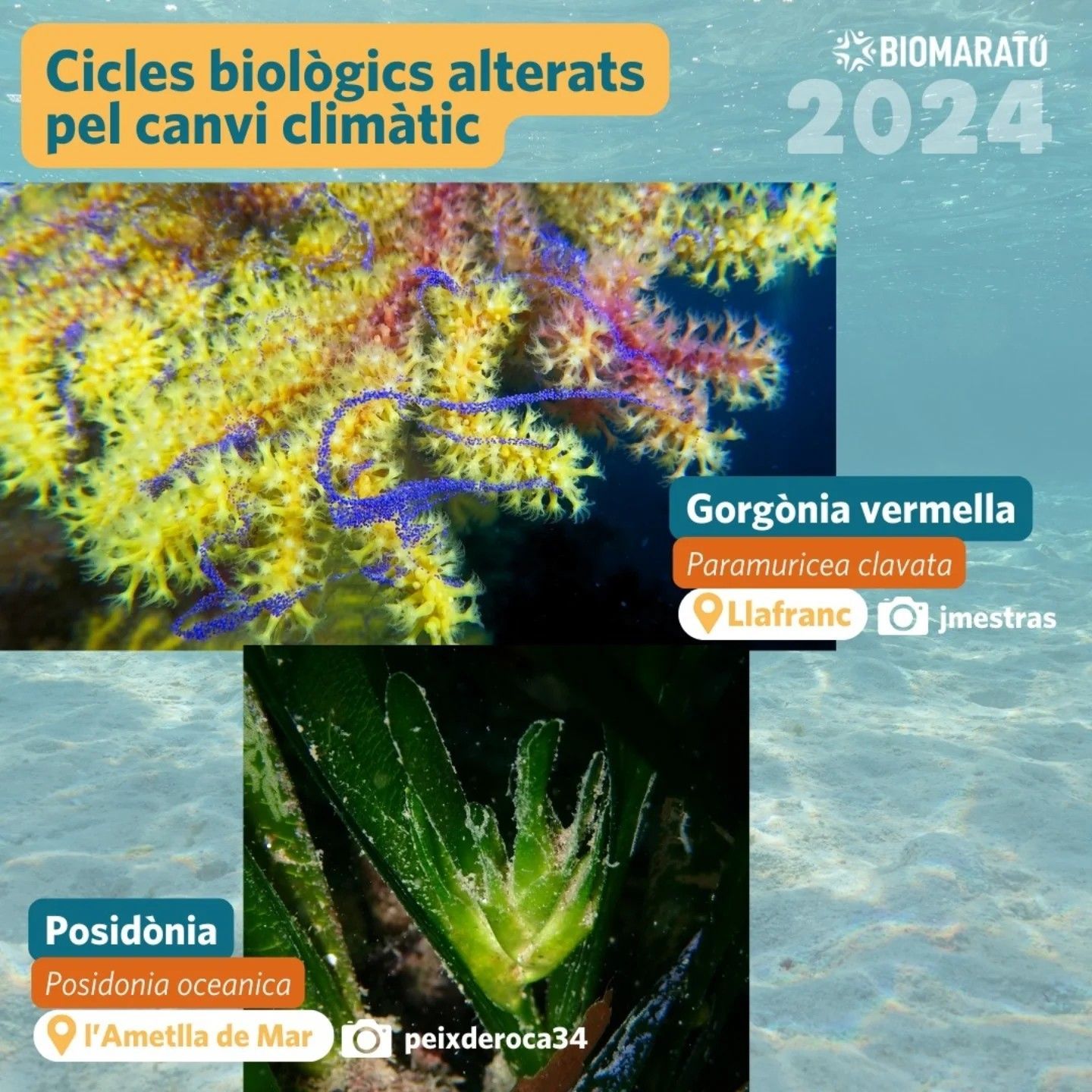 Cambio Climático