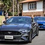 Mustang-8138
