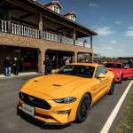 Mustang-8188