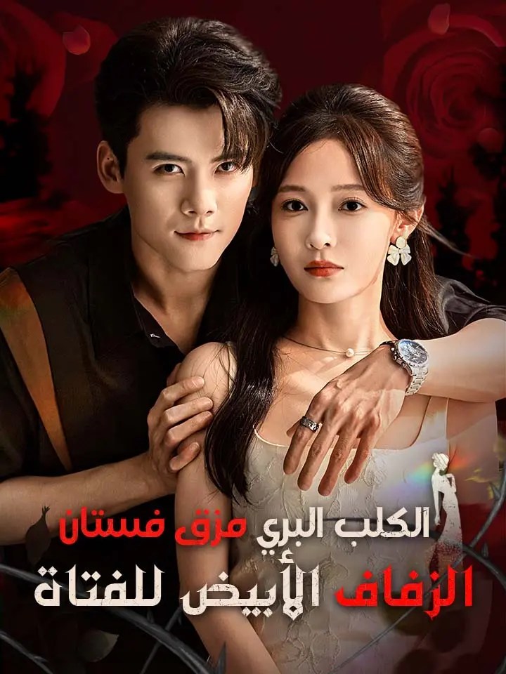 مشاهدة مسلسل الكلب البري مزق فستان الزفاف الأبيض للفتاة مدبلج كامل | ديب دراما
