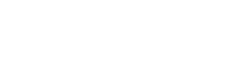 NtelSec