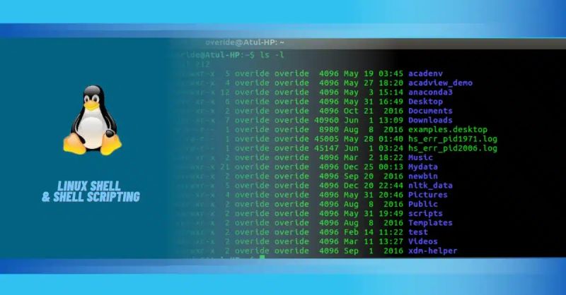 Shell Shell Script Linux Rhel Rathat Unix Kalilinux Kernal - Best Vintage Patterns in 4K