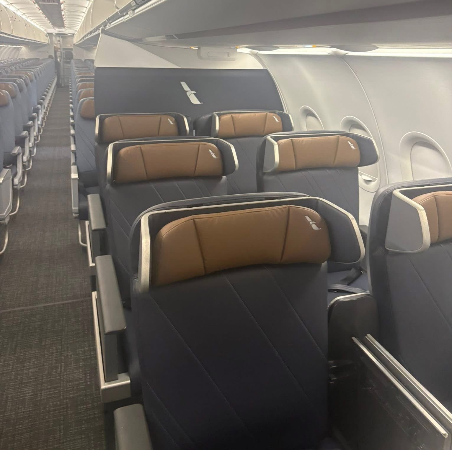 American Airlines Unveils Refreshed A319: More First Class, Less Legroom? (2026)