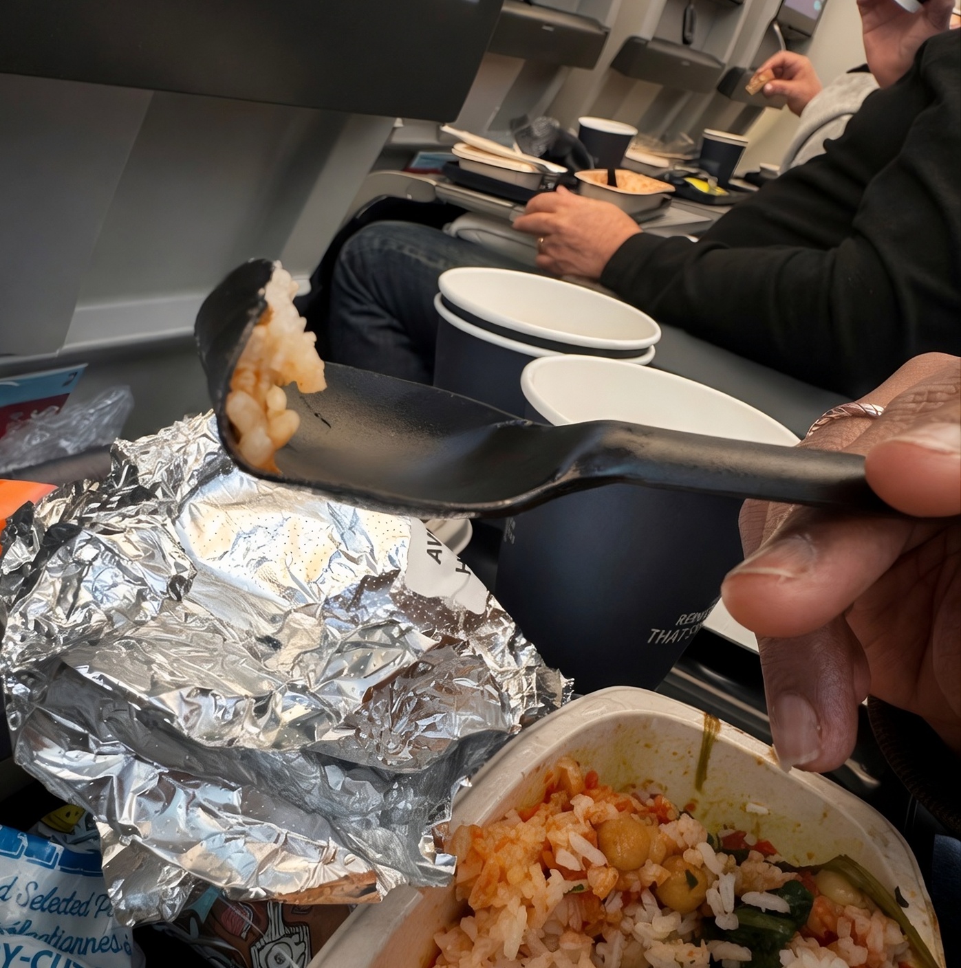 Delta's Eco-Conscious Image Crumbles: Plastic Utensils Melting Mid-Flight (2026)