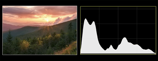 An example of a histogram (via Shutterbug)