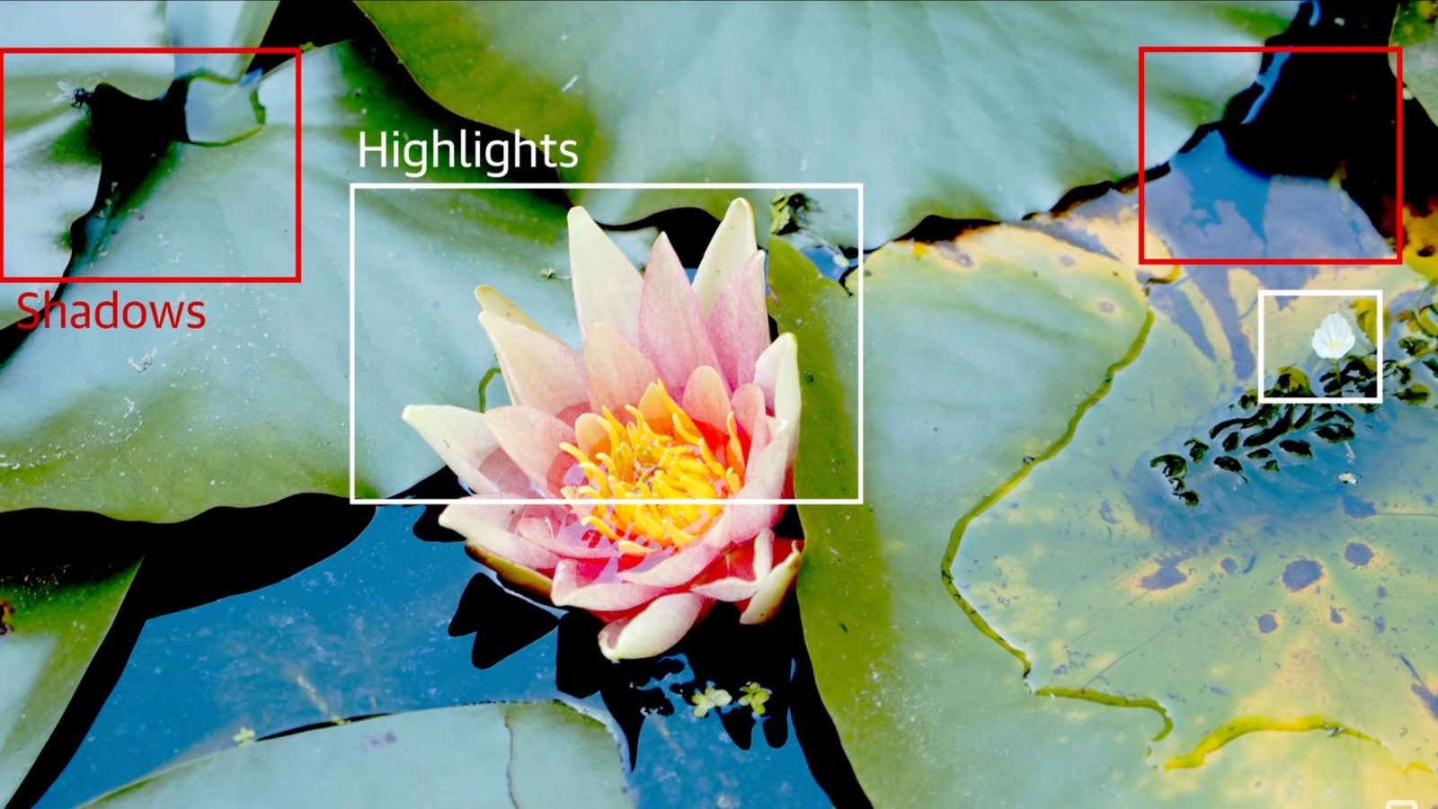 How does HDR work? - Endgadget
