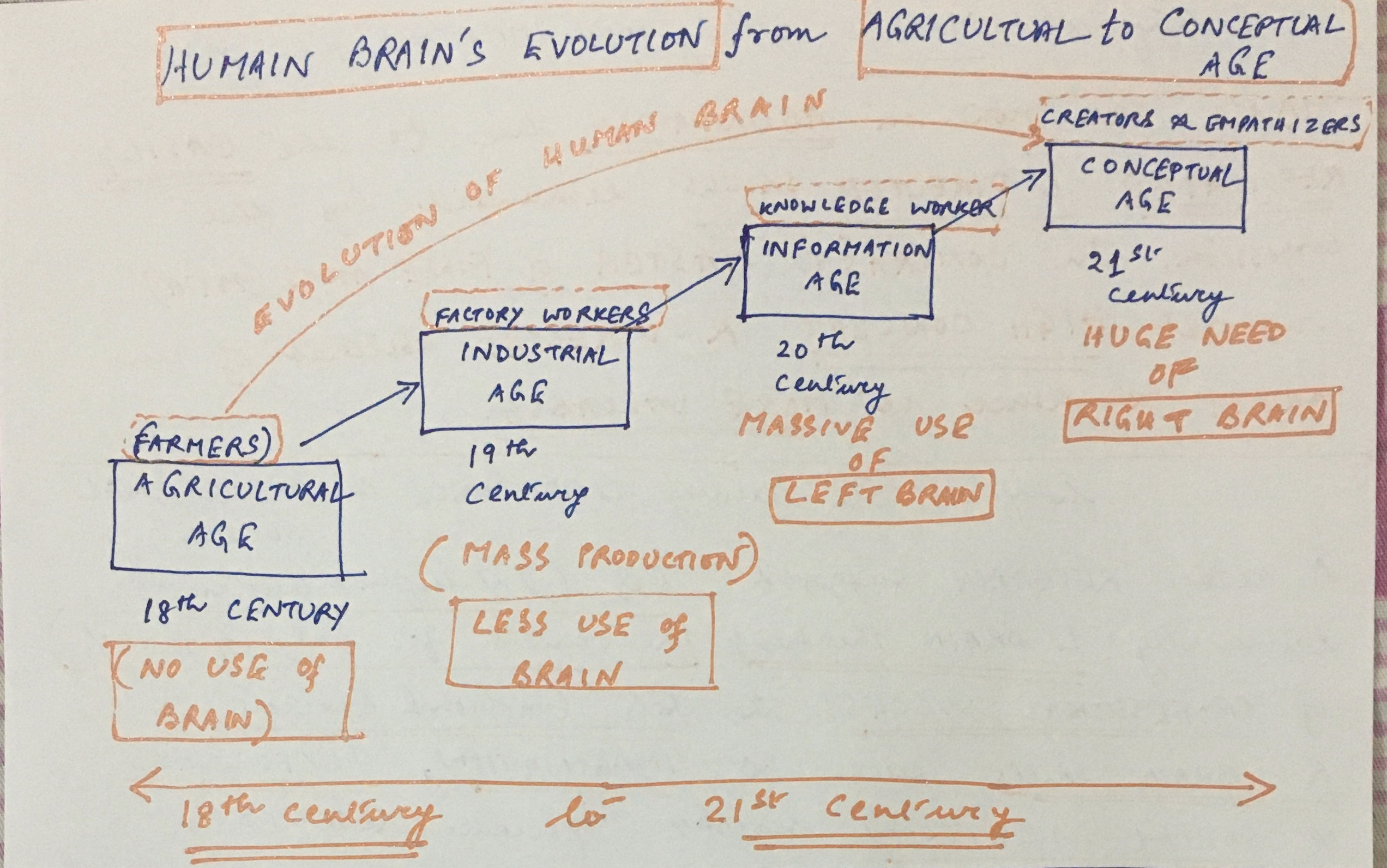 Human Brain Evolution over time