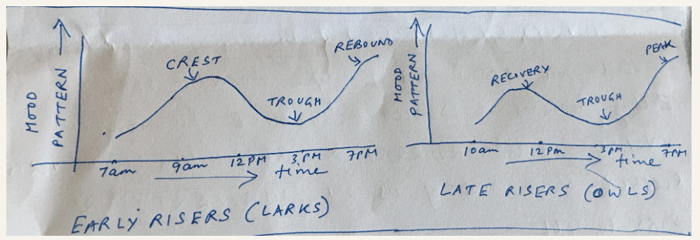 Are you an OWL or a LARK?