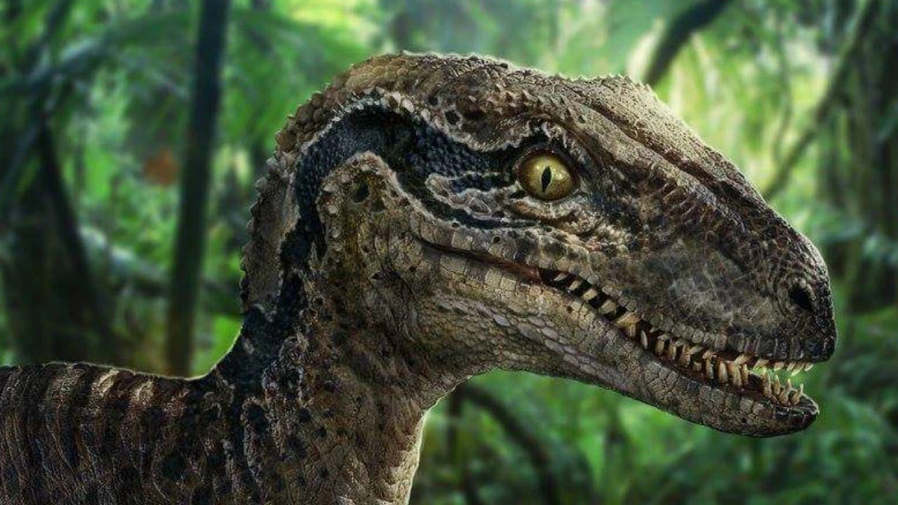 Jeff Goldblum Jurassic World 3 . Jurassic Parkâ€™s Most Popular Dinosaurs Ranked | Fandom