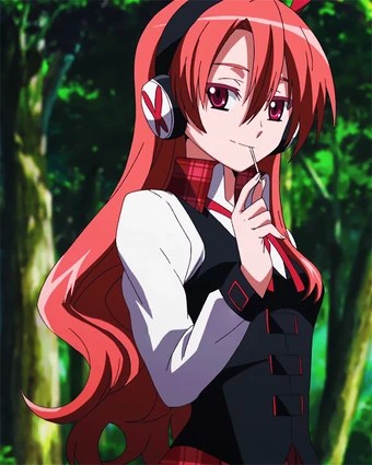 picture 1080P Chelsea Akame Ga Kill Wallpaper wallpaper anime akame ga kill chelsea