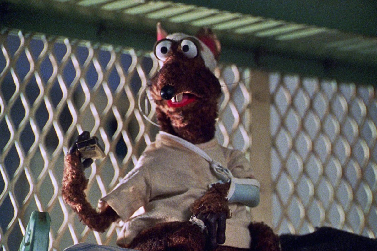 Just print it and have fun coloring the face of fozzie bear! Fast Eddie | Muppet Wiki | FANDOM powered by Wikia