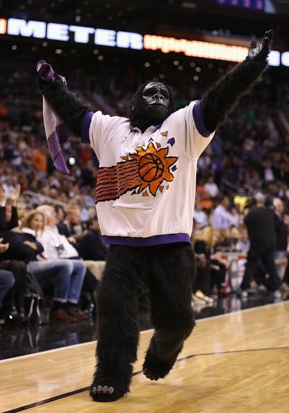 Prior to the 2007 season, the steelers introduced steely mcbeam as their official mascot. The Suns Gorilla (Phoenix Suns) | SportsMascots Wikia | Fandom