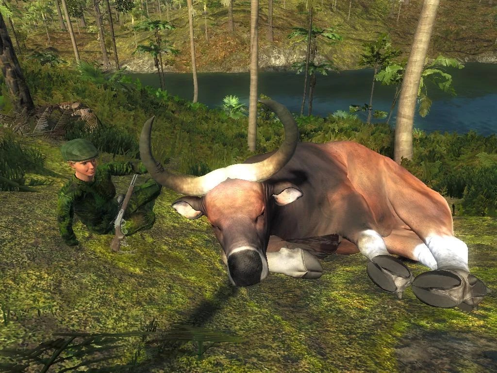 ✓ gratis untuk penggunaan komersial ✓ atribusi tidak diperlukan ✓ gambar berkualitas tinggi. Banteng | The Hunter Wikia | FANDOM powered by Wikia
