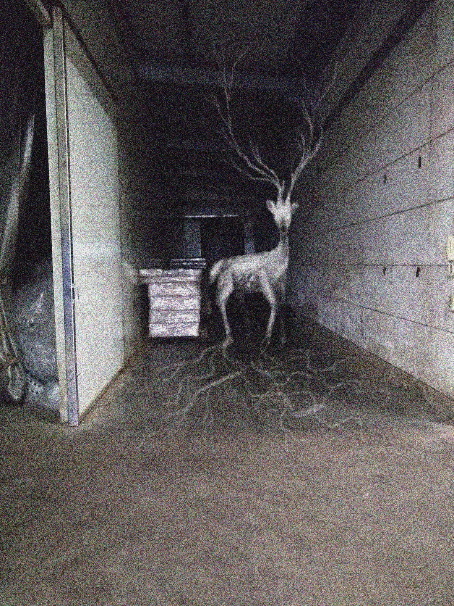 Here are scientific explanations for 30 of the weirdest things they do. The Veins Deer | Trevor Henderson Inspiration Wiki | Fandom