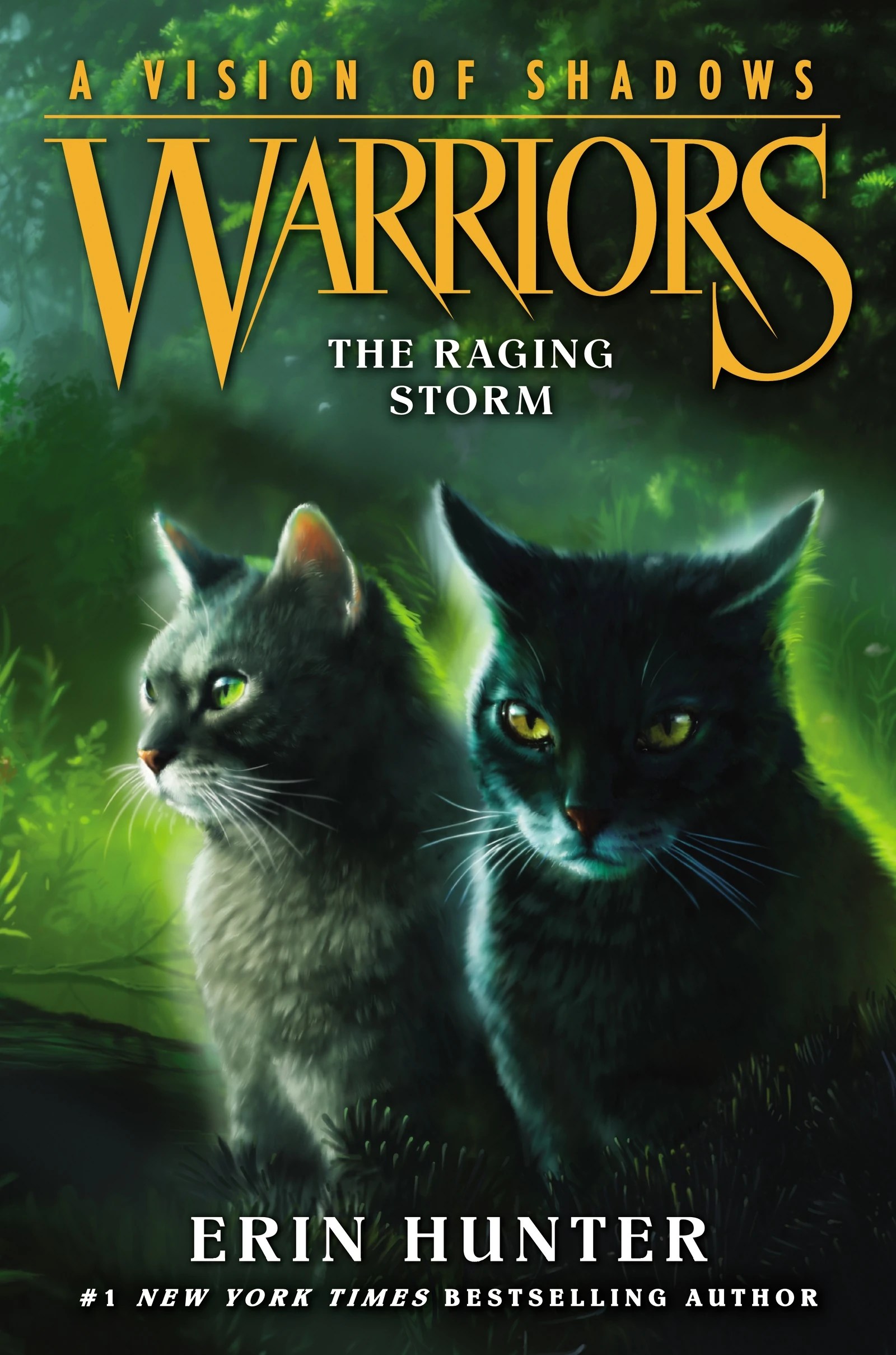 Welcome to warriors of hope. The Raging Storm | Warriors Wiki | FANDOM powered by Wikia