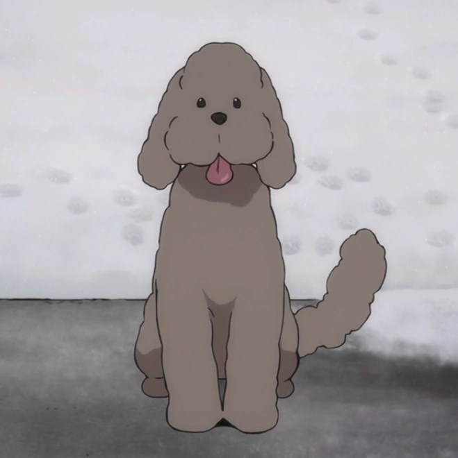Maxpower has a nice listng of truly free icons. Makkachin | Yuri!!! on Ice Wikia | FANDOM powered by Wikia