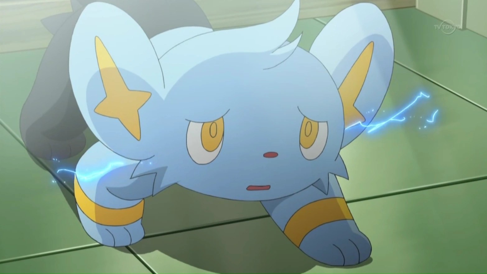 If so, you can't find gible in there. Cheren (anime) | PokÃ©mon Wiki | Fandom powered by Wikia