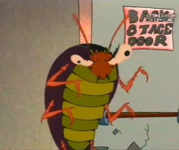 Only had one night sleep on it so far but very comfortable and a good night sleep. Schwick | Courage the Cowardly Dog | Fandom powered by Wikia