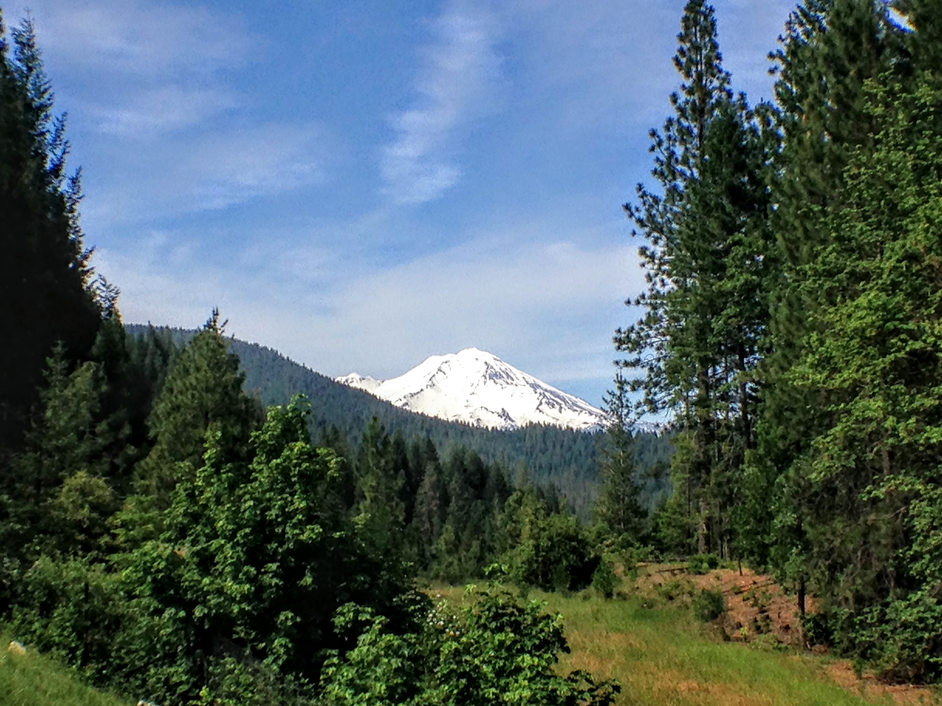 Mt. Shasta