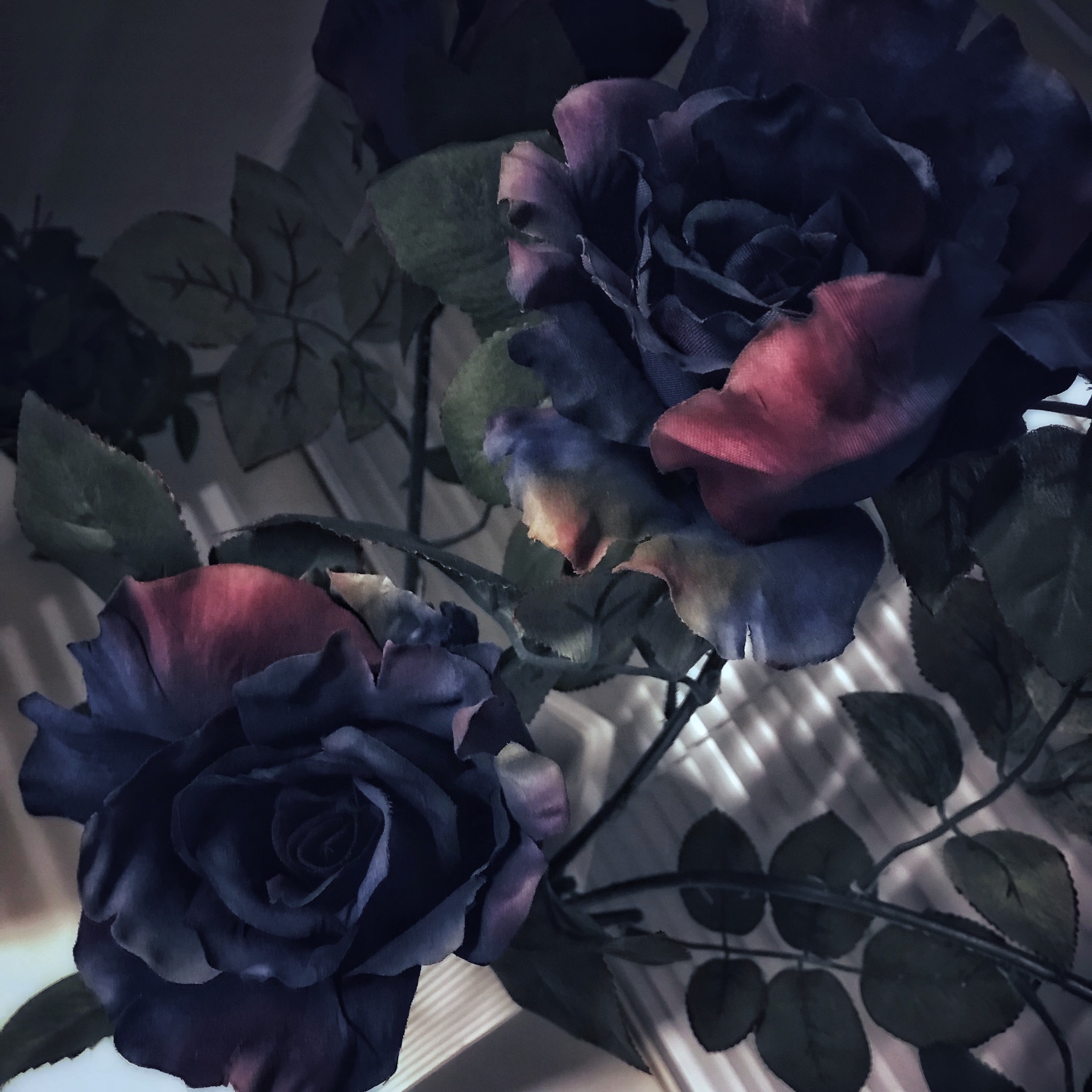 The different conference rooms / De olika konferensrummen