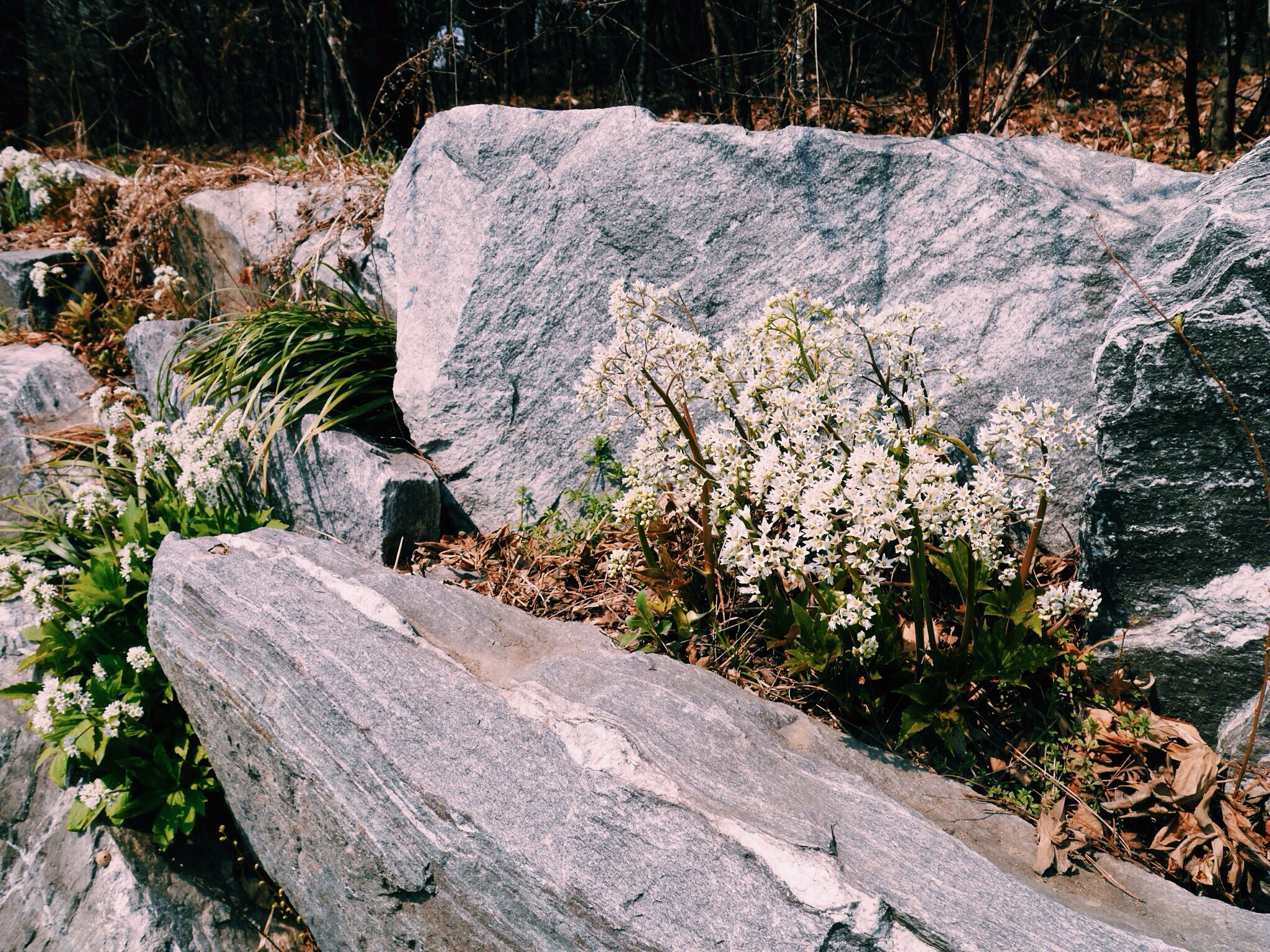 20140331-235423.jpg