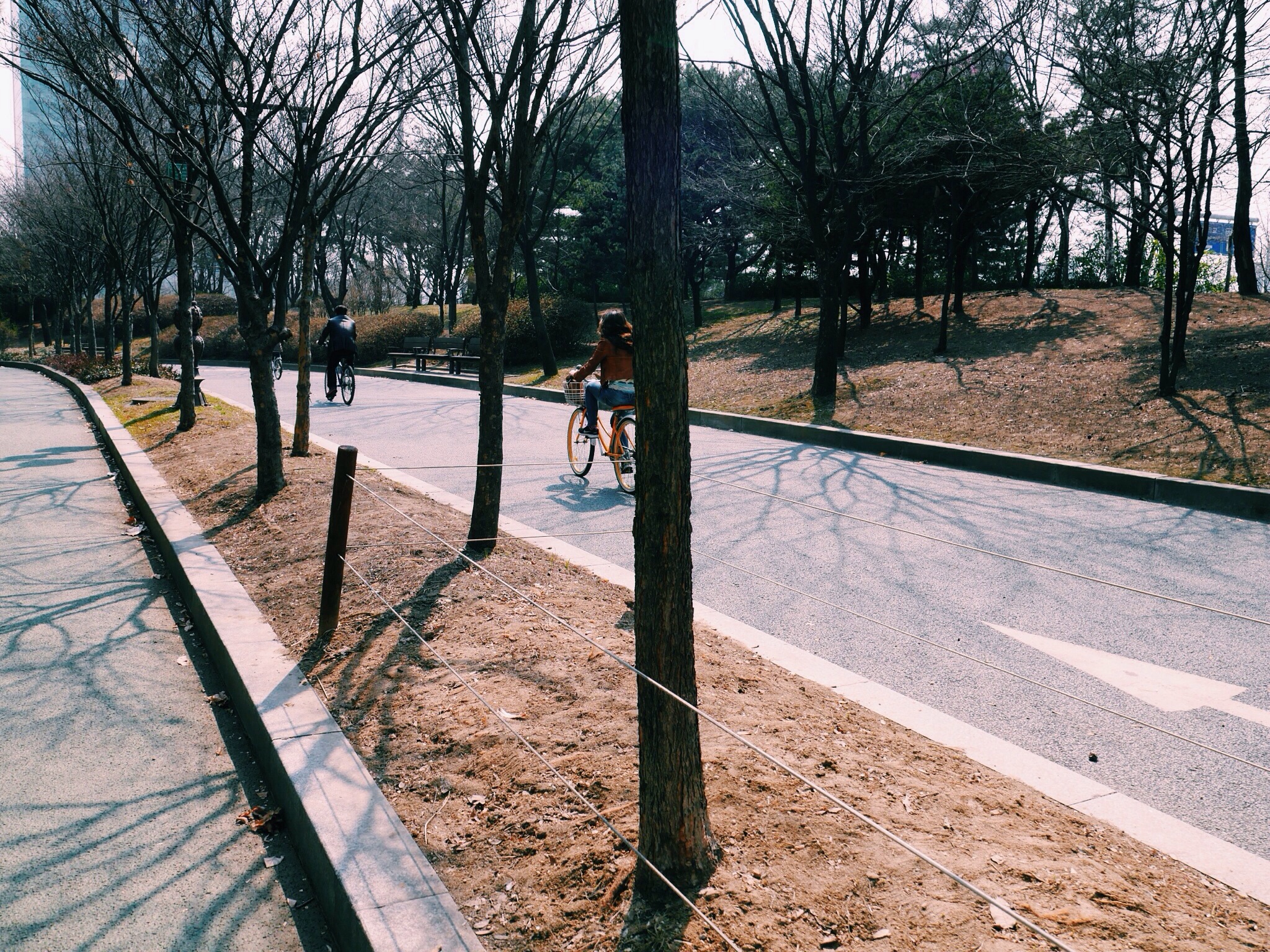 20140331-235437.jpg