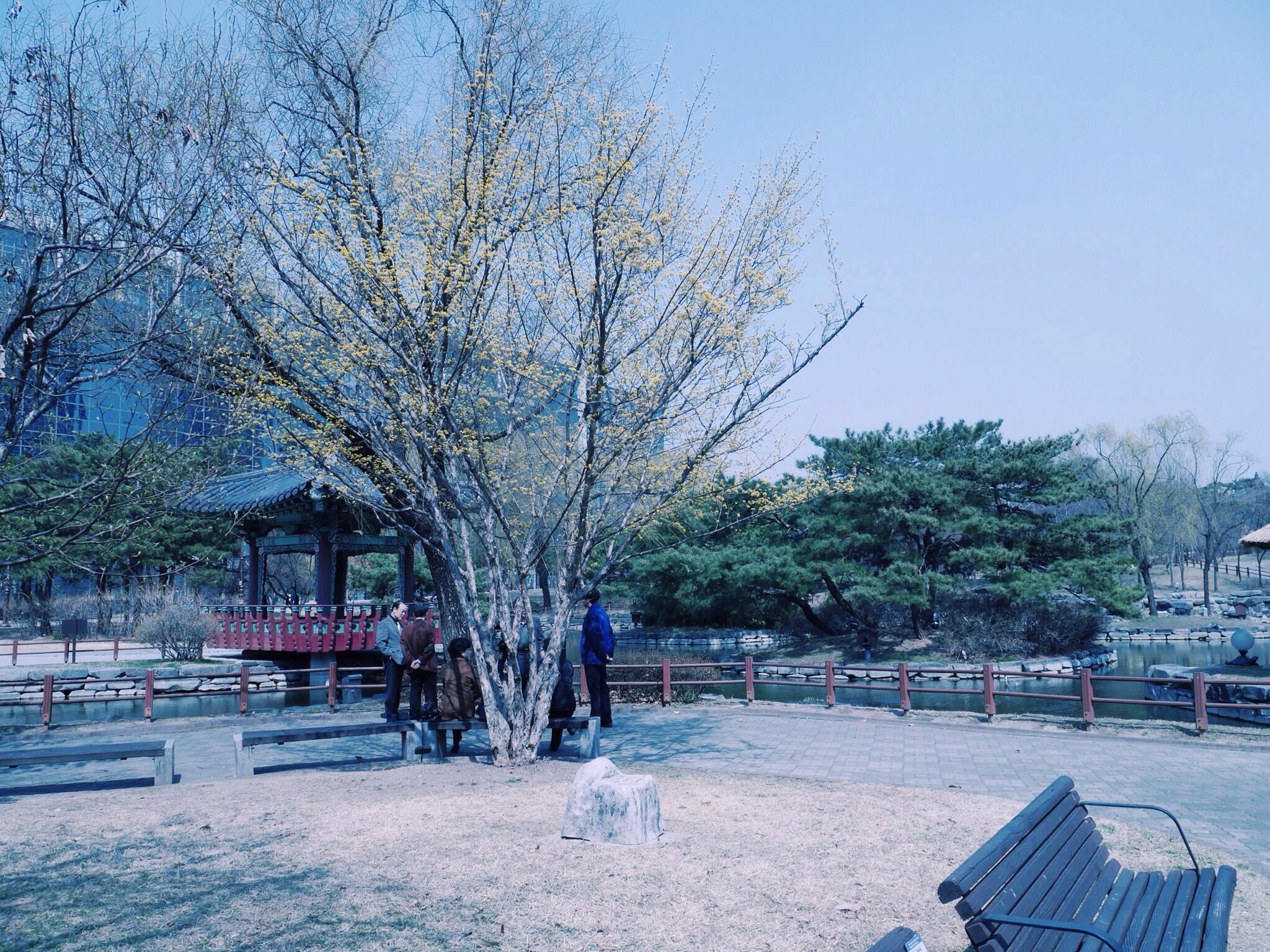20140331-235507.jpg