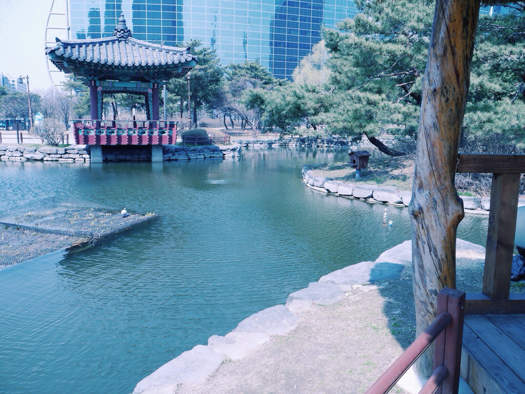 20140331-235534.jpg