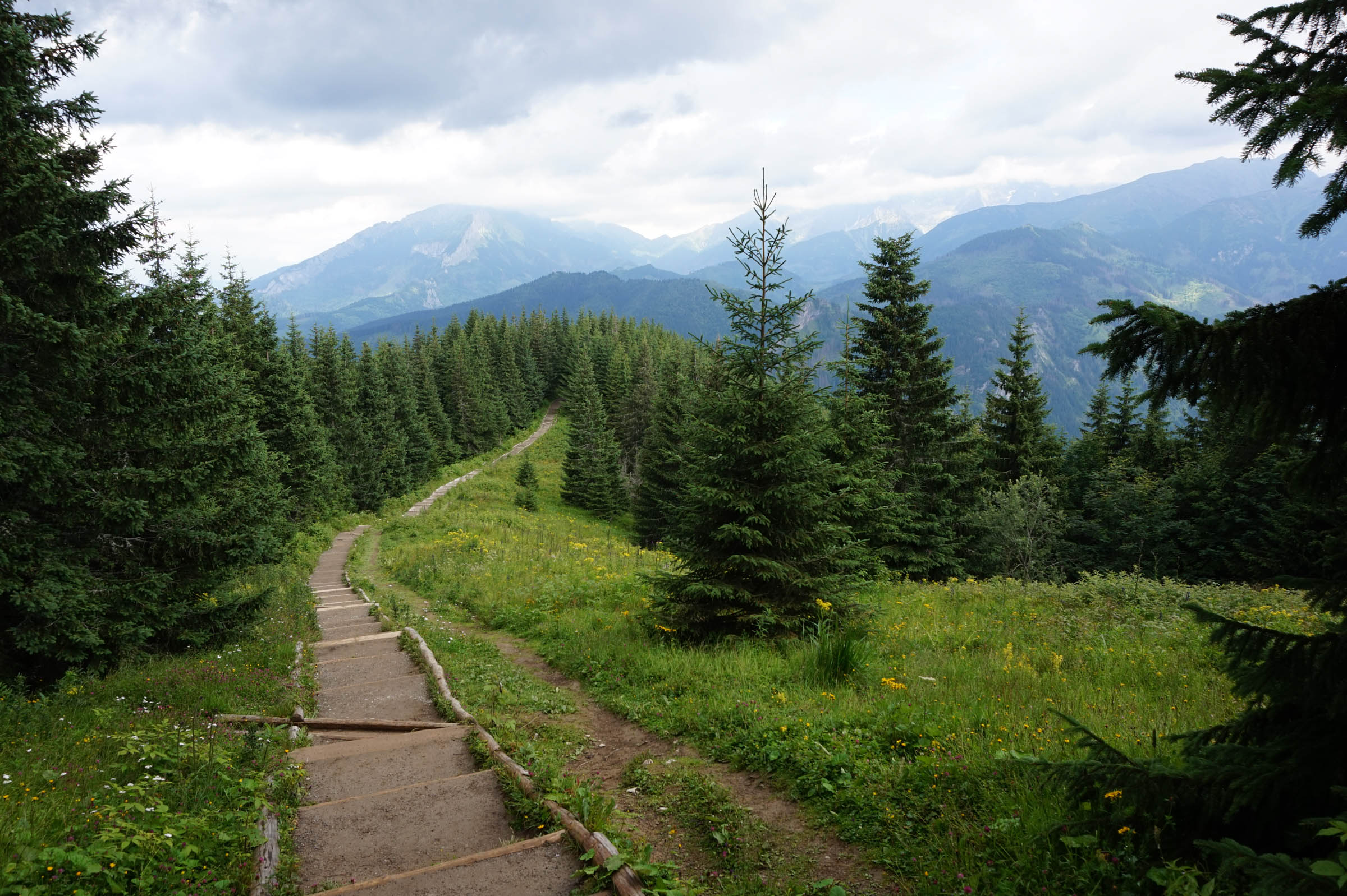 Lépcsők, Gęsia Szyja, Tátra