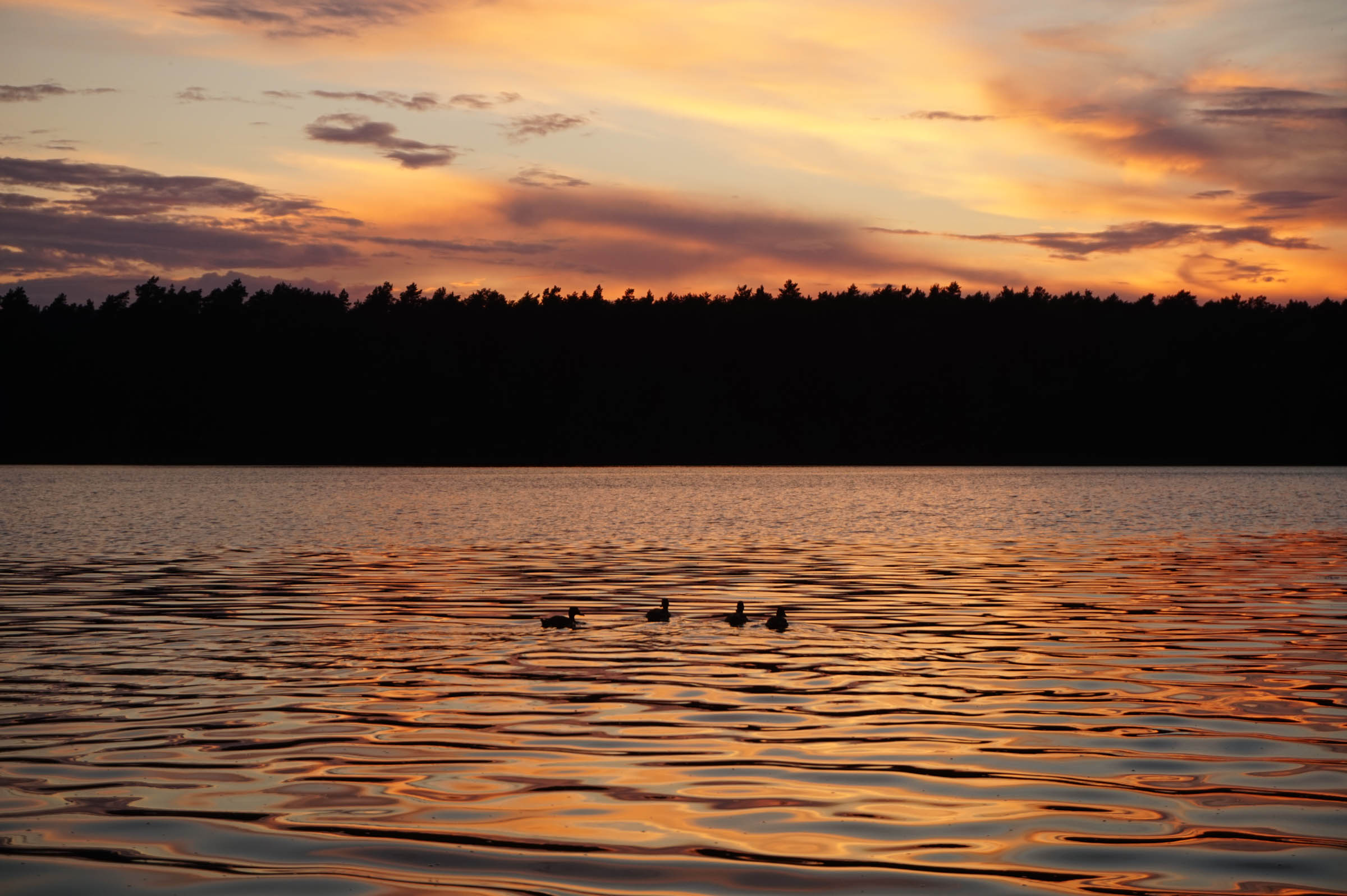 Naplemente, Swaderki kemping, Lengyelország